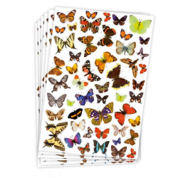 Stickers Fjärilar | 300 st