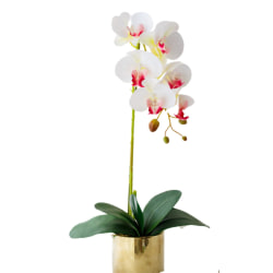 Konstgjorda orkidéer Växter Vaser Phalaenopsis