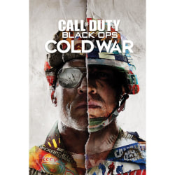 Call Of Duty Black Ops Cold War-affisch One Size Flerfärgad Multicoloured One Size