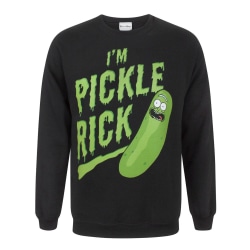 Rick And Morty Mens Pickle Rick Sweater XL Svart Black XL