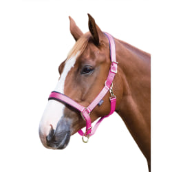 Shires Deluxe läder vadderad hästhuvudkrage Cob Pink Pink Cob