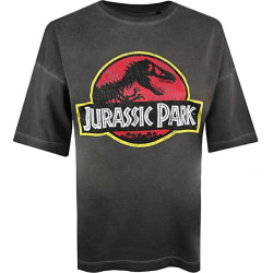 Jurassic Park Dam/Dam Logo Oversized T-shirt L Vintage Ch Vintage Charcoal/Black/Yellow L