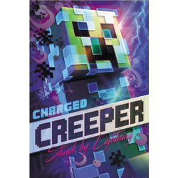 Minecraft Charged Creeper 162 Poster One Size Flerfärgad Multicoloured One Size