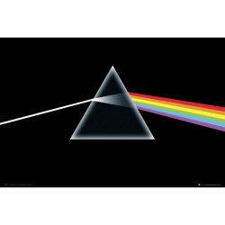 Pink Floyd Dark Side Of The Moon Affisch One Size Svart Black One Size