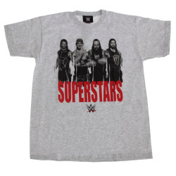 WWE Superstars Childrens Boys Wrestling T-shirt 9-10 Years Grey Grey 9-10 Years