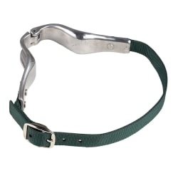 Shires Nylon Horse Crib Biting Collar One Size Silver/Sea Green Silver/Sea Green One Size