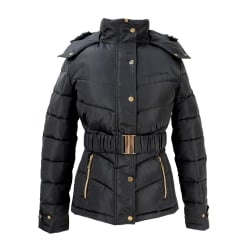 Coldstream Womens/Ladies Cornhill Quilted Coat XL Svart Black XL