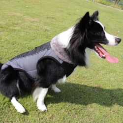 Hundkläder Vintervattentät hundjackajacka Red XS