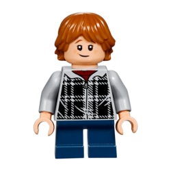 Lego Harry Potter Figur 75955 Ron Weasley Plaid Hoodie LF52-22
