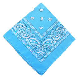 Bandana Scarf Sjal Snusnäsduk Paisleymönster Ljus Blå blå