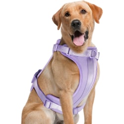 Dragfri lätt hundsele: Justerbart hållbart andetag Purple