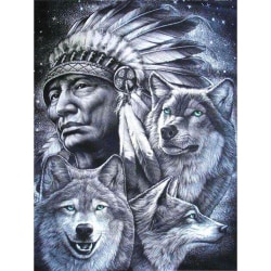 Full 5D DIY Diamond Painting Cross Stitch Indian och Wolves Mosa Som på bilden 1 25X35CM