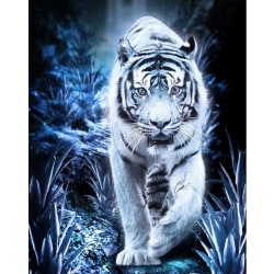 Timanttimaalaus 5D DIY timanttimaalaus Valkoinen tiikeri 50x70 cm
