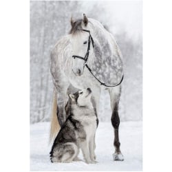 Diamond painting 5D DIY diamant målning Vit häst och hund 20x30cm
