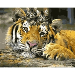 Timanttimaalaus 5D DIY timanttimaalaus Tiger 40x50 cm