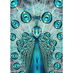 Timanttimaalaus 5D DIY timanttimaalaus Peacock 40x50cm
