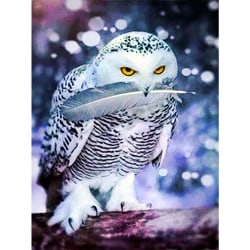 Full 5D DIY Diamond Painting Cross Stitch Snowing Owl Broderi Rh Som på bilden 1 50X70CM