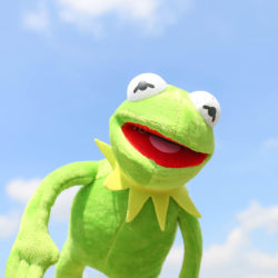 40 cm Kermit The Frog Sesame Street Muppet ONE ITEM Kokovartalo Do one size