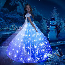 Frozen 1&2 Anna Elsa Led Light Up Dress Girls Christmas Cosplay 3T (110)