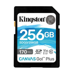 Kingston Canvas Go Plus 256 GB SDXC-kort Svart