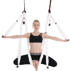 Aerial Yoga Swing Set - Yoga Hängmatta/Trapets/Selar Kit