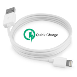 2 Meter Quick charge laddare iPhone 5/6/6s/6 Plus/7/8/X/11/Pad Vit