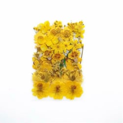 Blommor Blommor för DIY Epoxy Resin Smycken Konsthantverk G (38 gula serien)