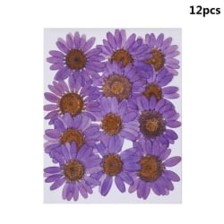 12 st naturliga pressade daisy torkade blommor hänge halsband DIY purple