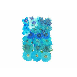 Blommor Blommor för DIY Epoxy Resin Smycken Konsthantverk D (39 Blue Series)