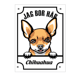 Plåtskylt Chihuahua  Kikande hund skylt Vit