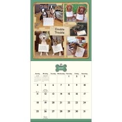 Dog Shaming Calendars 2024 Wall Calendar Hauska kalenteri