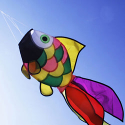 Rainbow Fish Kite Windsock Utomhus Trädgårdsdekor Barnleksaker