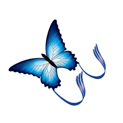 Fjärilar Drake Blå Djur Drakar Flygande Leksaker Spel Aktiviteter