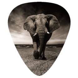 Plektrum - Elefant - 10-pack - Gitarr