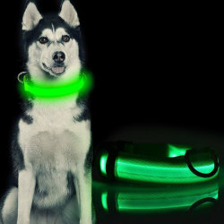 LED Hundhalsband / Halsband för Hund m. Reflex - Flera storlekar M