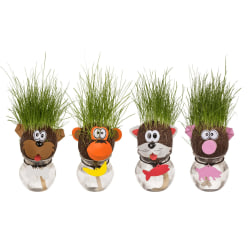 Odla ditt egna gräsdjur med Vas - Gräsfrö 2-Pack