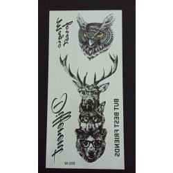 Väliaikainen tatuointi 19 x 9cm - pöllö + eläin laseissa