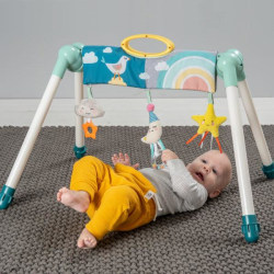TAF Mini moon take to play baby gym - Taf Toys