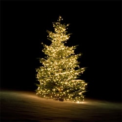 Julgransbelysning DELTACO SMART HOME WiFi inomhus/utomhus