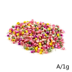 140st riktiga torkade blommor för konsthantverk epoxihartsljusjuvel Mix-Color One-size
