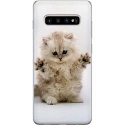 Samsung Galaxy S10+ Skal / Mobilskal - Katt