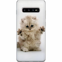 Samsung Galaxy S10+ Genomskinligt Skal Katt