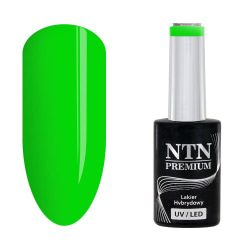 NTN Premium - Gellack - Delight Sorbet - Nr146 - 5g UV-gel/LED Grön