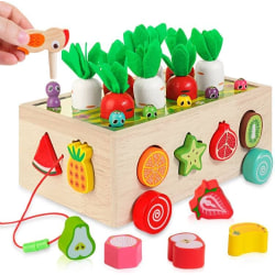 5 i 1 Montessori-leksaker i trä för 1-åring, Carro
