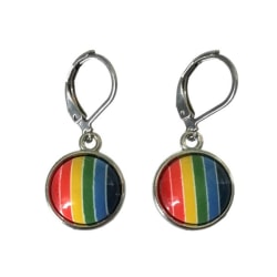 Örhängen Pride Regnbågssmycke HBTQ LGBT Rostfritt Stål multifärg
