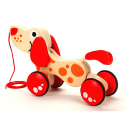 Hape Walk-A-Long Puppy multifärg