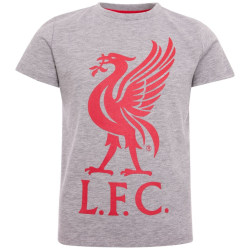 Liverpool T-shirt LIVERBIRD Junior Grå 5-6 år