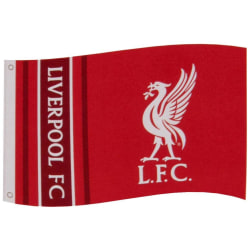 Liverpool Flagga WM