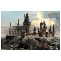 Harry Potter Affisch Hogwarts Day 280