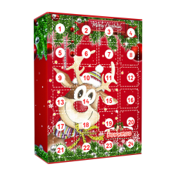 Christmas Countdown Calendar With 24 Surprise Popular Gift